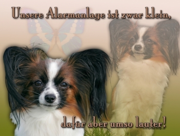 Hundewarnschild Papillon #3