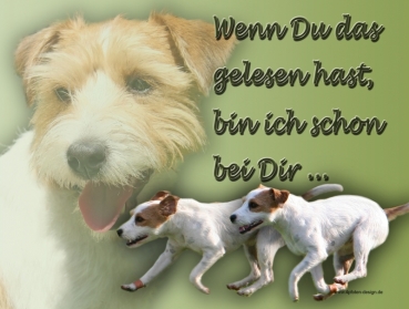 Hundewarnschild Parson Russell Terrier #2