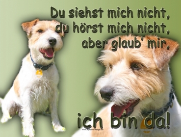 Hundewarnschild Parson Russell Terrier #3