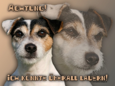 Hundewarnschild Parson Russell Terrier #5