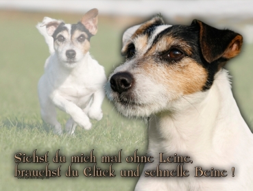 Hundewarnschild Parson Russell Terrier #6