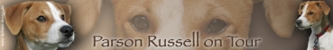 Aufkleber Parson Russell Terrier #2