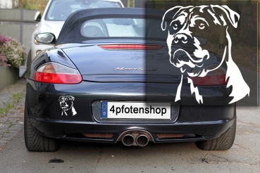 Autoaufkleber "Perro Dogo Mallorquin" Kopf