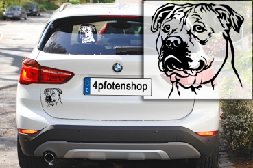 Autoaufkleber "Perro Dogo Mallorquin" Kopf