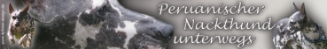 Aufkleber Peruanischer Nackthund #2