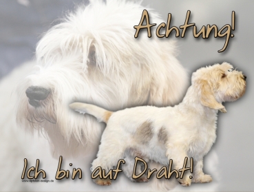 Hundewarnschild Petit Basset Griffon Vendeen #1