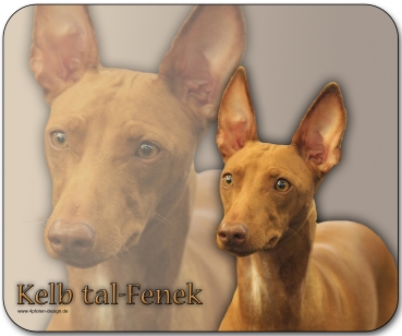 Mousepad Pharaonenhund (Kelb-tal Fenek) #1