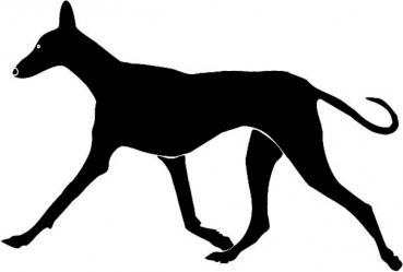 Podenco laufend Silhouette