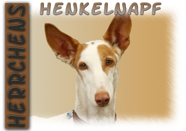 Fototasse Podenco Herrchen/Frauchen