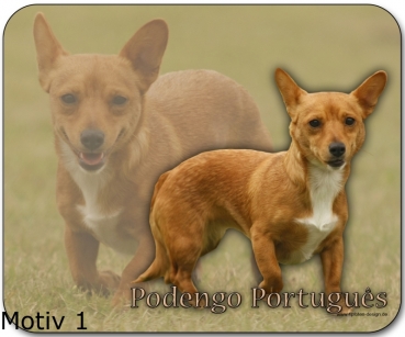 Mousepad Podengo Portugues #1