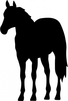 Aufkleber Pferd - Quarter Horse Silhouette