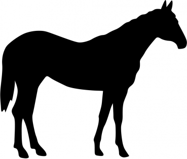 Aufkleber Pferd - Quarter Horse Silhouette