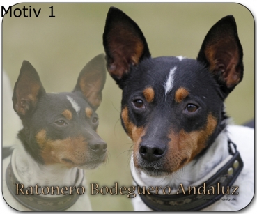 Mousepad Ratonero Bodeguero Andaluz #1