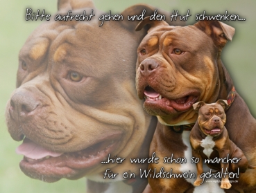 Hundewarnschild Old English Bulldog #2