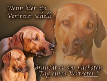 Hundewarnschild Rhodesian Ridgeback #4