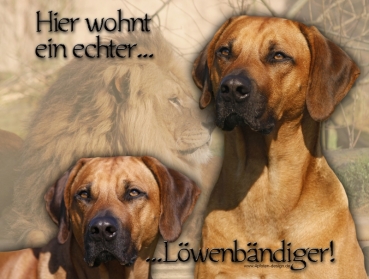 Hundewarnschild Rhodesian Ridgeback #6