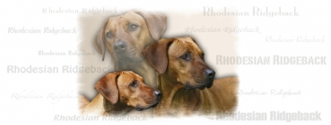 Fototasse Rhodesian Ridgeback Designertasse #8