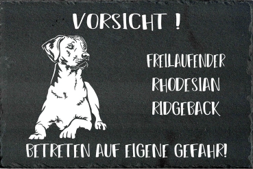 Schieferplatte Rhodesian Ridgeback