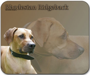 Mousepad Rhodesian Ridgeback #1