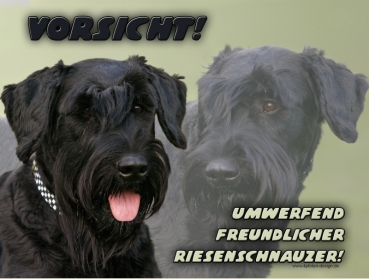 Aluminiumschild Riesenschnauzer