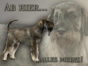 Hundewarnschild Riesenschnauzer #3