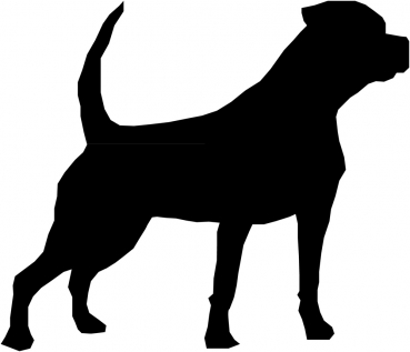 Rottweiler stehend Silhouette