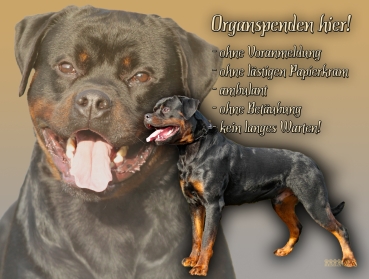 Hundewarnschild Rottweiler #3