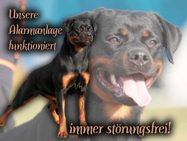 Hundewarnschild Rottweiler #4