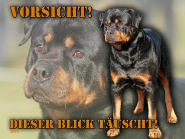 Hundewarnschild Rottweiler #5