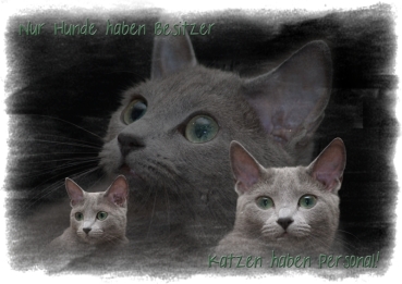 Fototasse Russisch Blau