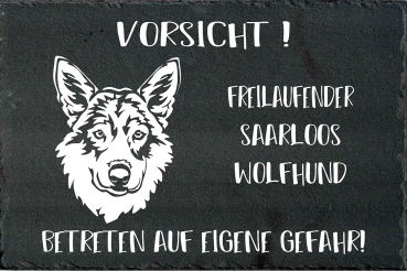 Schieferplatte Saarloos Wolfhund