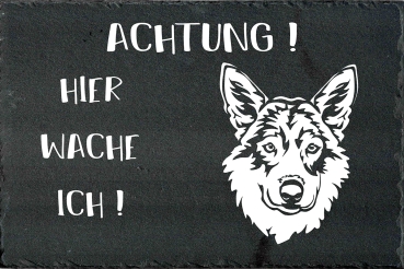 Schieferplatte Saarloos Wolfhund