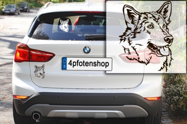 Autoaufkleber "Saarloos Wolfhund" Kopf