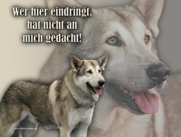 Aluminiumschild Saarlooswolfhund