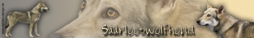 Aufkleber Saarlooswolfhund #2