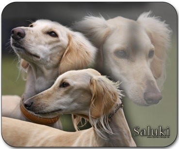 Mousepad Saluki (Persischer Windhund) #1