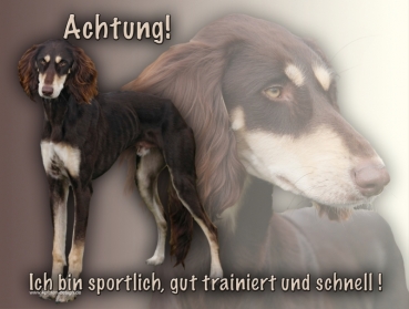 Hundewarnschild Saluki (Persischer Windhund) #3