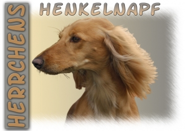 Fototasse Saluki (Persischer Windhund) Herrchen/Frauchen