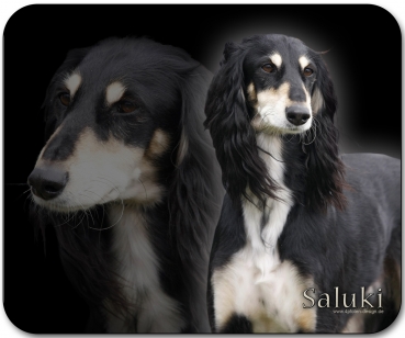 Mousepad Saluki (Persischer Windhund) #3