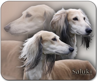 Mousepad Saluki (Persischer Windhund) #4