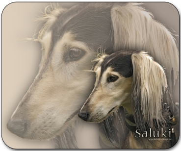 Mousepad Saluki (Persischer Windhund) #5