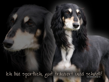 Hundewarnschild Saluki (Persischer Windhund) #6