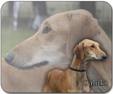 Mousepad Saluki (Persischer Windhund) #6