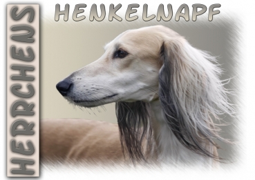 Fototasse Saluki (Persischer Windhund) Herrchen/Frauchen