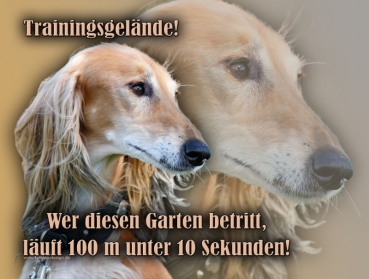 Hundewarnschild Saluki (Persischer Windhund) #14