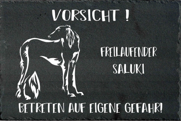 Schieferplatte Saluki