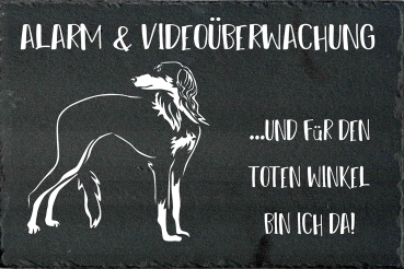 Schieferplatte Saluki