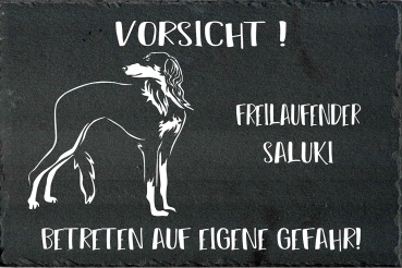 Schieferplatte Saluki