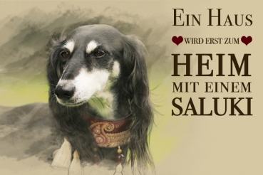 Nostalgieschild - Hundeschild im Retrostil Motiv: Saluki (Persischer Windhund) #2