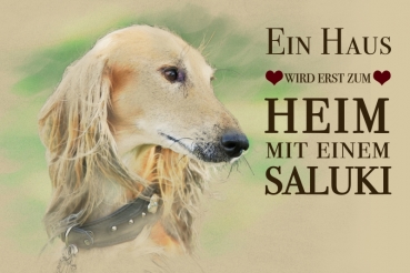 Nostalgieschild - Hundeschild im Retrostil Motiv: Saluki (Persischer Windhund) #3